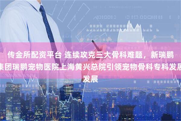 传金所配资平台 连续攻克三大骨科难题，新瑞鹏集团瑞鹏宠物医院上海黄兴总院引领宠物骨科专科发展