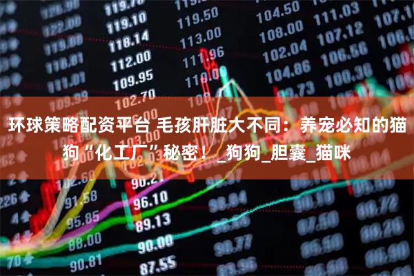 环球策略配资平台 毛孩肝脏大不同：养宠必知的猫狗“化工厂”秘密！_狗狗_胆囊_猫咪