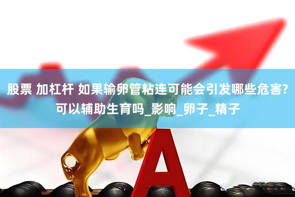 股票 加杠杆 如果输卵管粘连可能会引发哪些危害?可以辅助生育吗_影响_卵子_精子