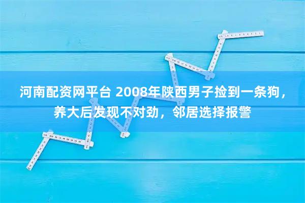 河南配资网平台 2008年陕西男子捡到一条狗,养大后发现不对劲,邻居选择报警