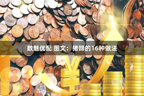 数魅优配 图文：猪蹄的16种做法