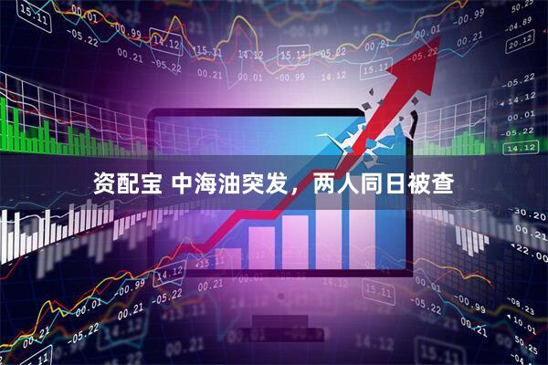 资配宝 中海油突发，两人同日被查