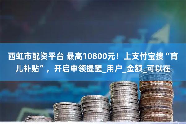 西虹市配资平台 最高10800元！上支付宝搜“育儿补贴”，开启申领提醒_用户_金额_可以在